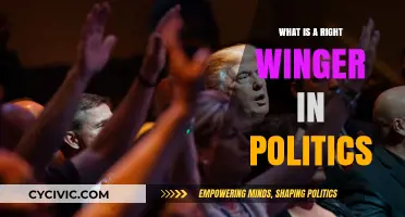 Understanding Right-Wing Politics: A Comprehensive Guide