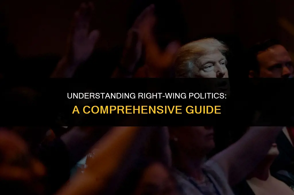 what is a right winger in politics