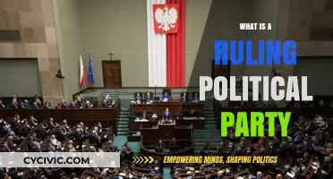 Understanding the Role and Power of a Ruling Political Party