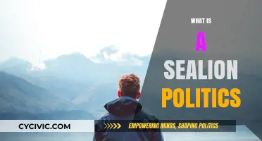 Understanding Sealioning: Tactics, Impact, and Countering Political Bad Faith