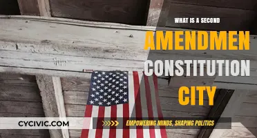 Cities Protecting the Second Amendment