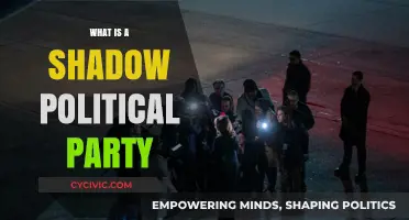 Unveiling the Mystery: Understanding Shadow Political Parties and Their Role