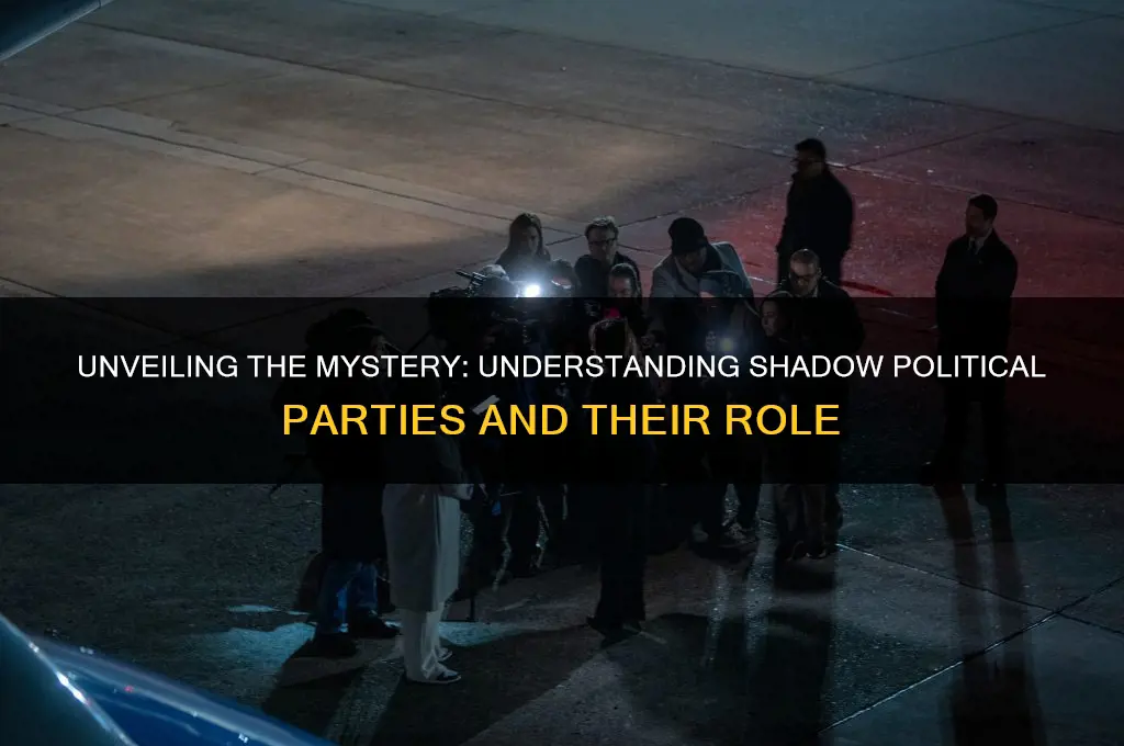 what is a shadow political party