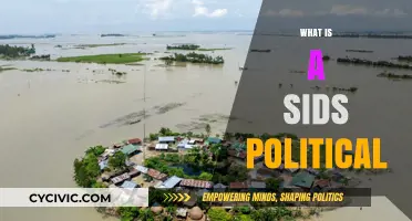 Understanding SIDS Politics: Small Island Nations' Global Influence and Challenges