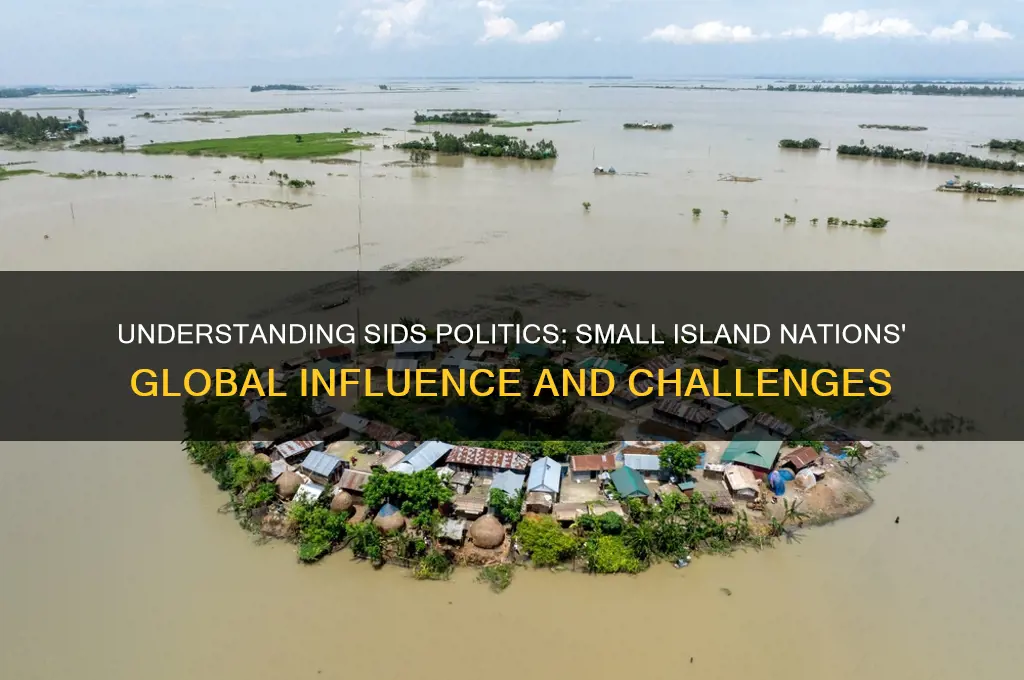 what is a sids political