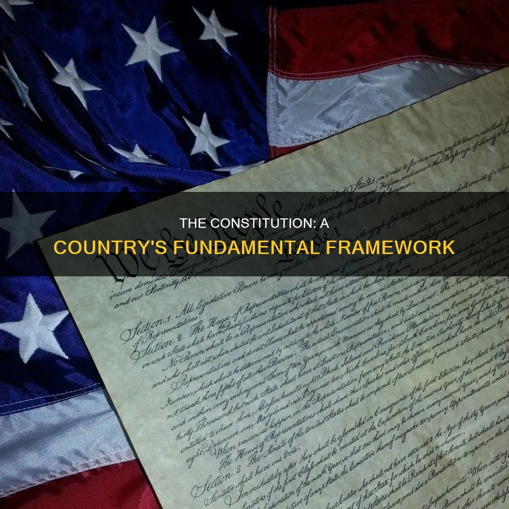 what is a simple definition of a constitution