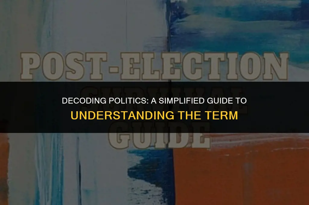 what is a simplified meaning of the term politics