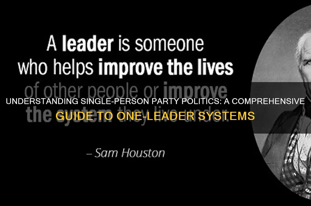what is a single person party politics