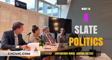 Understanding Slate Politics: Strategies, Impact, and Modern Political Dynamics