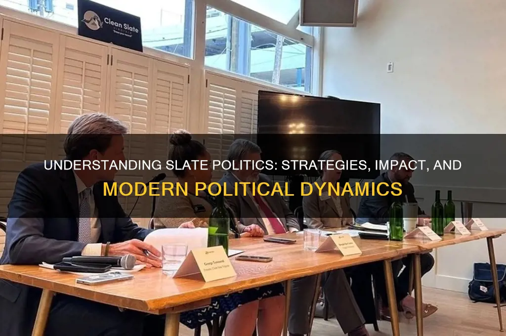 what is a slate politics