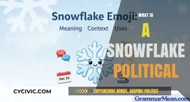Understanding the Snowflake Political: Origins, Criticisms, and Cultural Impact