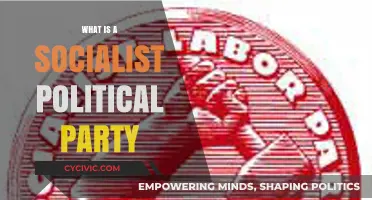 Understanding Socialism: What Defines a Socialist Political Party?