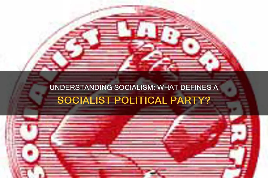 what is a socialist political party