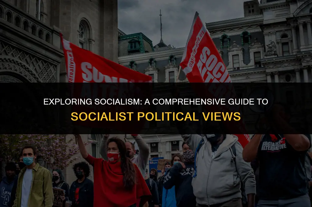 what is a socialist political view