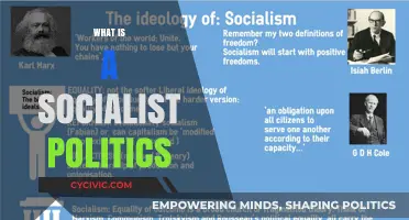 Understanding Socialist Politics: Principles, Goals, and Global Impact Explained