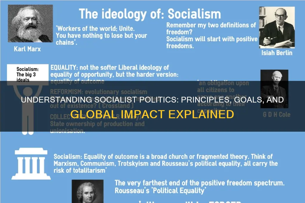 what is a socialist politics