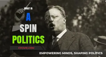 Understanding Spin Politics: Tactics, Impact, and Media Manipulation Explained