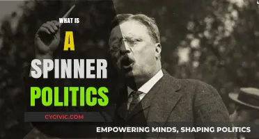 Understanding Spinner Politics: Tactics, Impact, and Modern Political Strategies