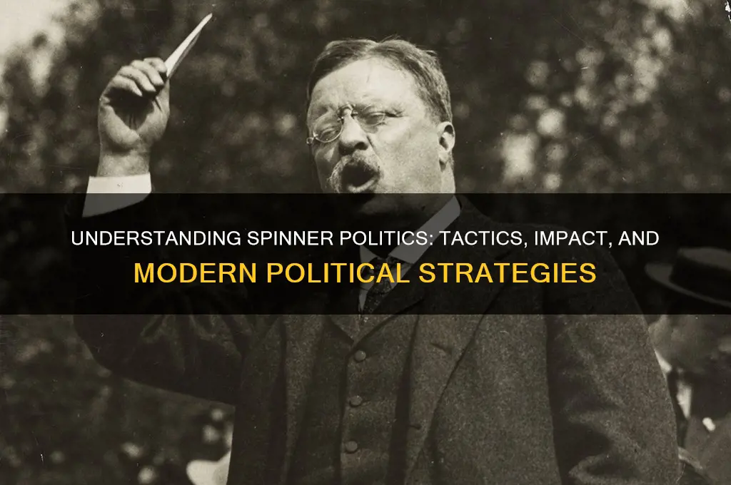 what is a spinner politics