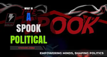 Unveiling the Enigma: Understanding the Spook Political Phenomenon
