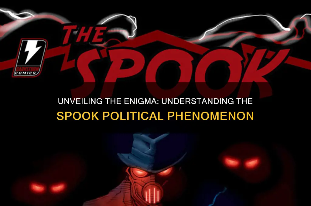 what is a spook political