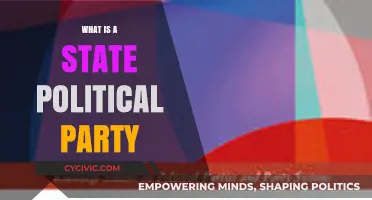 Understanding State Political Parties: Roles, Functions, and Influence Explained