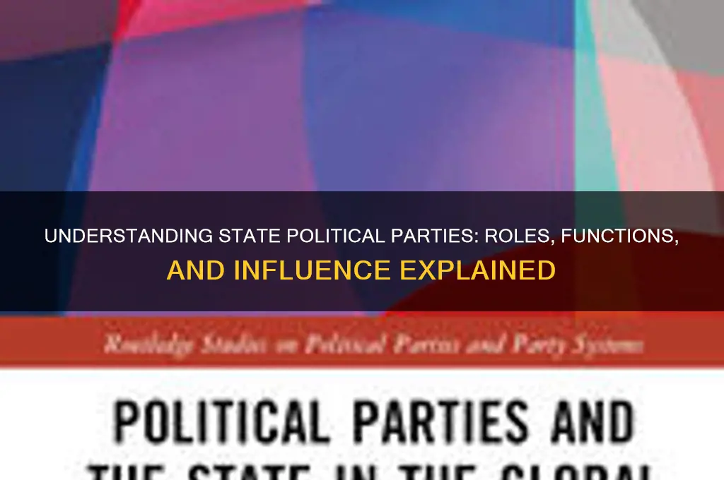 what is a state political party