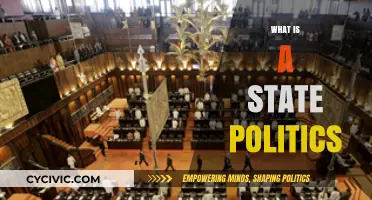 Understanding State Politics: Power, Policies, and Local Governance Explained