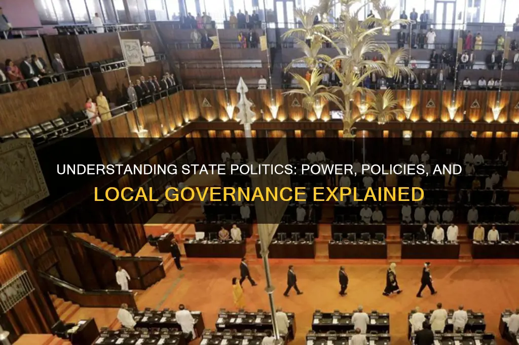 what is a state politics