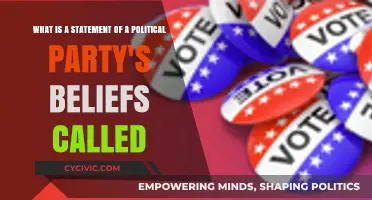 Understanding Political Party Platforms: Defining Their Core Beliefs and Values