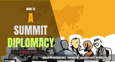 The Art of Summit Diplomacy: Elevating Global Relations