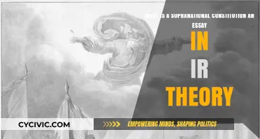 Supranational Constitutions: IR Theory Explained