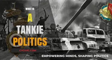 Understanding Tankie Politics: Origins, Beliefs, and Modern Controversies Explained