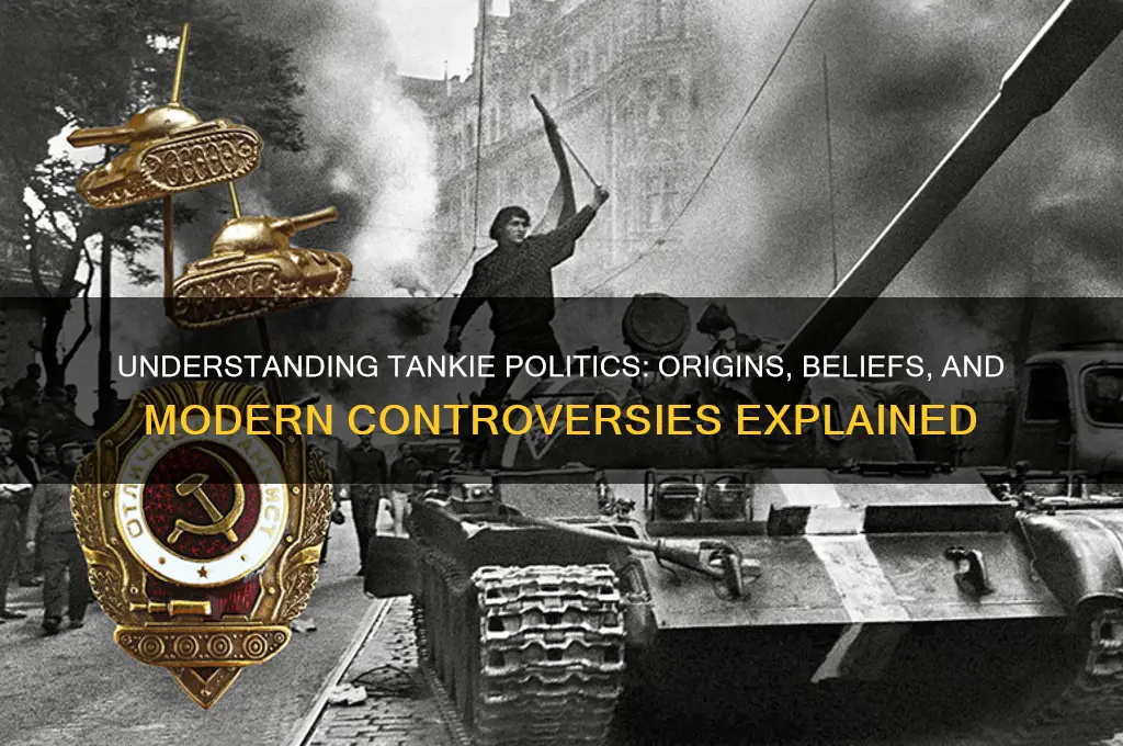 what is a tankie politics