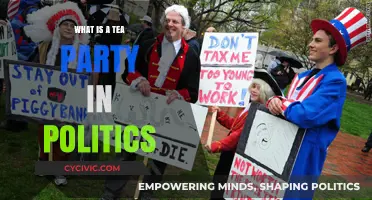 Understanding the Tea Party Movement: Origins, Goals, and Political Impact