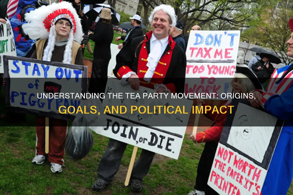 what is a tea party in politics