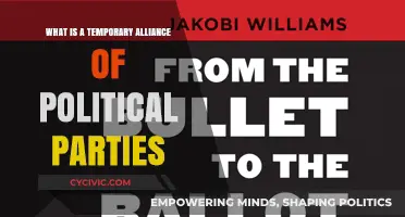 Understanding Temporary Political Alliances: A Guide to Party Coalitions