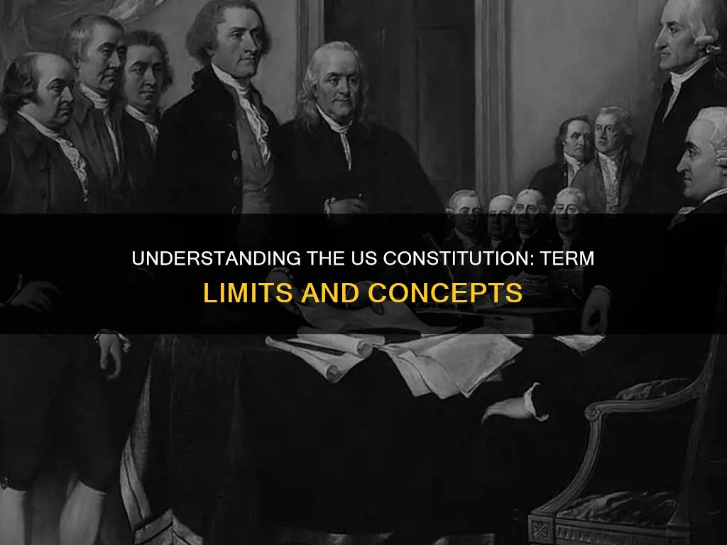 what is a term concept of the us constitution
