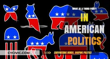 Understanding Third Parties in American Politics: Roles, Impact, and Influence