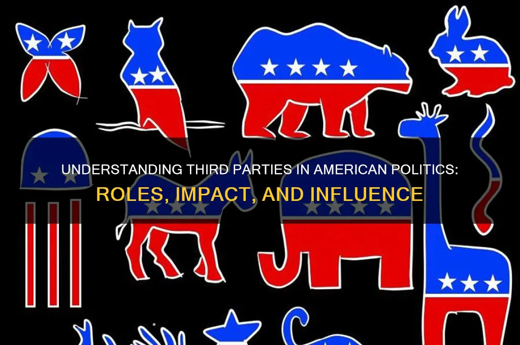 what is a third party in american politics
