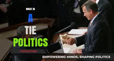 Understanding Tie Politics: Deadlocks, Compromises, and Their Impact on Governance