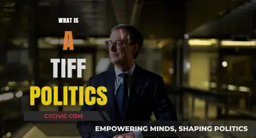 Understanding TIFF Politics: A Comprehensive Guide to Its Dynamics