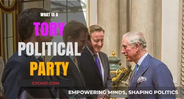 Understanding the Tory Political Party: History, Policies, and Influence