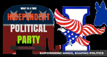 Understanding the Core Principles of a True Independent Political Party