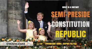 Understanding Semi-Presidential Republics: Unitary Constitutional Systems