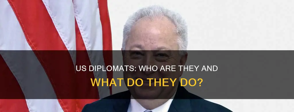 what is a us diplomat