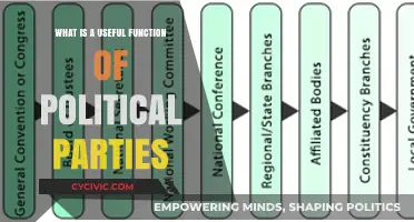 Political Parties: Essential Functions for Democracy and Governance Explained