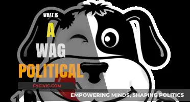 Understanding WAG Politics: Influence, Power, and Public Perception Explained