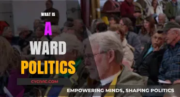 Understanding Ward Politics: Local Governance, Representation, and Community Impact