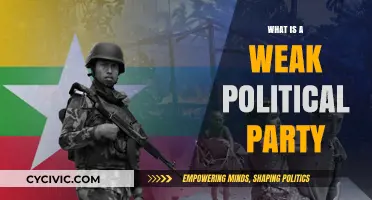 Understanding Weak Political Parties: Causes, Consequences, and Solutions